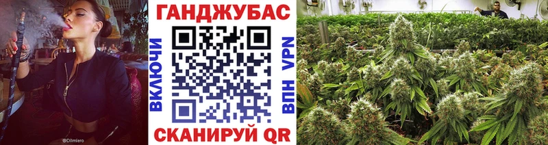 Где купить Дагестанские Огни СК Мефедрон COCAIN Псилоцибиновые грибы Каннабис ГАШ