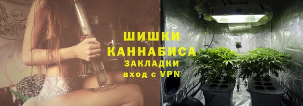 амф Дмитров