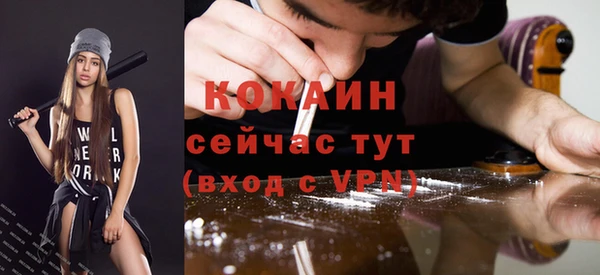амф Дмитров