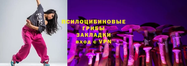 амф Дмитров