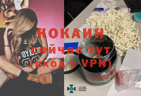 меф Дмитриев