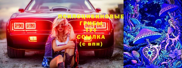 амф Дмитров