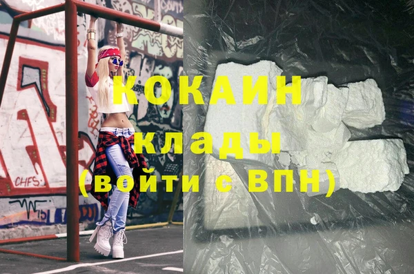 гидропоника Гусиноозёрск