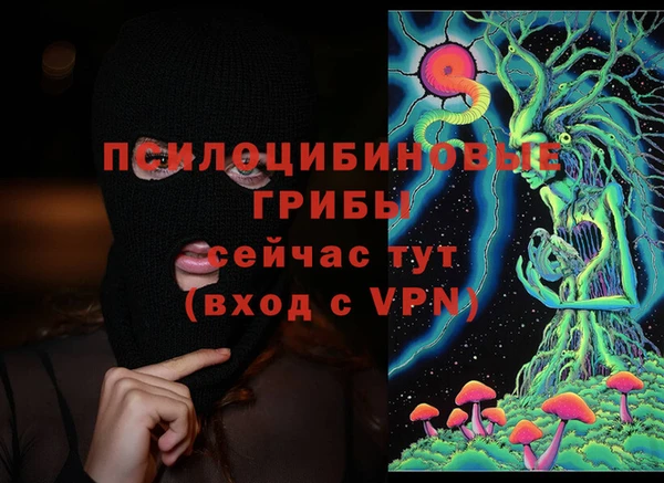 амф Дмитров