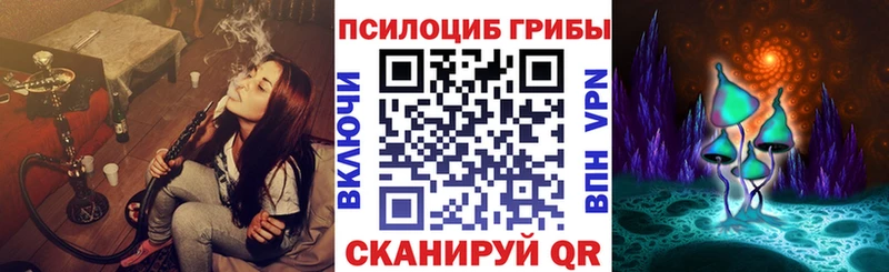 Псилоцибиновые грибы ЛСД  shop клад  Дагестанские Огни 