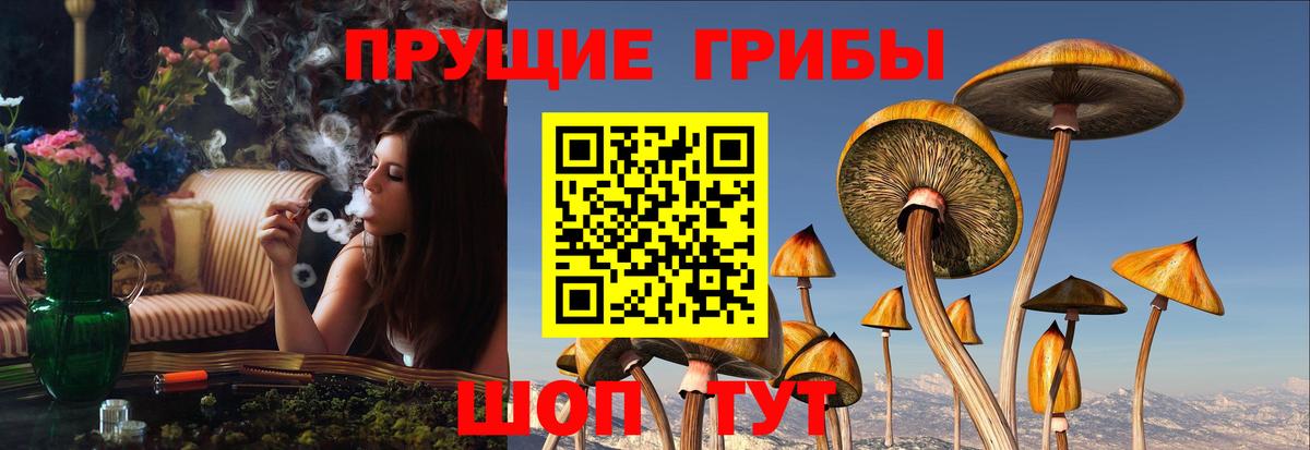 Галлюциногенные грибы MAGIC MUSHROOMS  Галлюциногенные грибы прущие грибы  Дагестанские Огни  Вход с VPN 